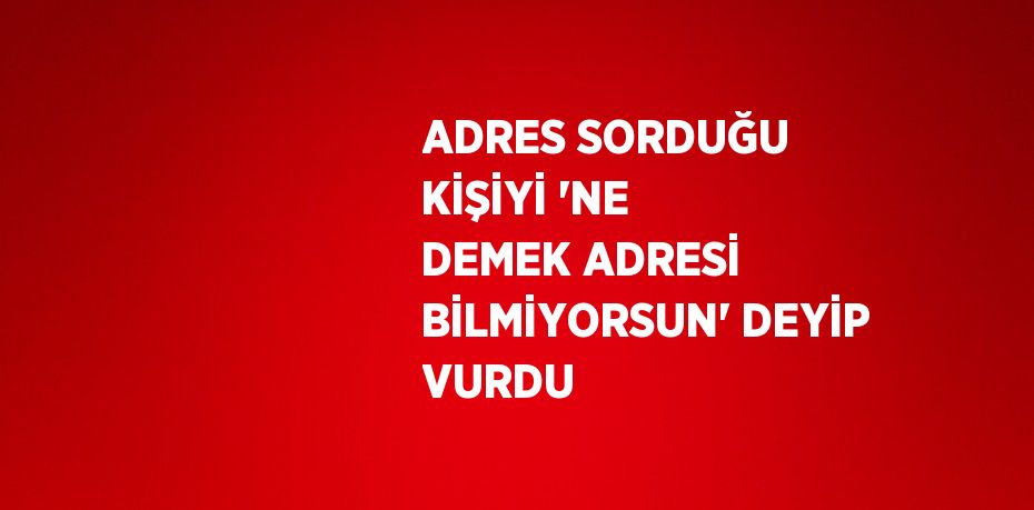 ADRES SORDUĞU KİŞİYİ 'NE DEMEK ADRESİ BİLMİYORSUN' DEYİP VURDU