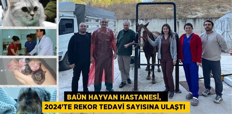 BAÜN HAYVAN HASTANESİ,   2024'TE REKOR TEDAVİ SAYISINA ULAŞTI