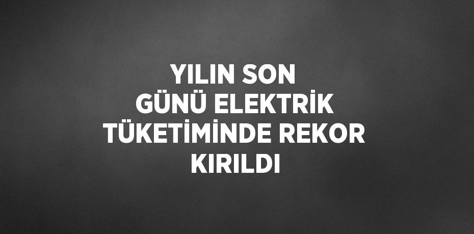 YILIN SON GÜNÜ ELEKTRİK TÜKETİMİNDE REKOR KIRILDI