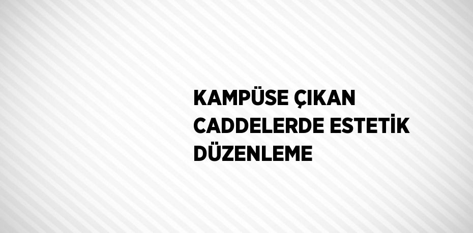 KAMPÜSE ÇIKAN CADDELERDE ESTETİK DÜZENLEME