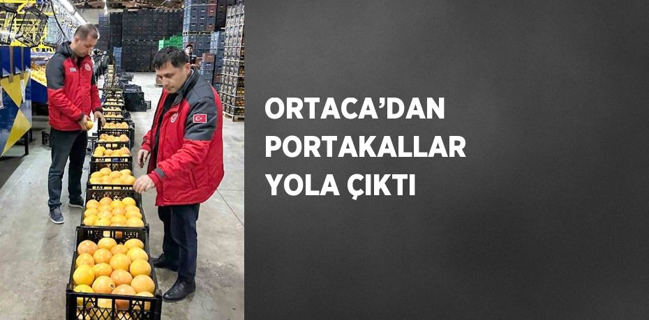 ORTACA’DAN PORTAKALLAR YOLA ÇIKTI