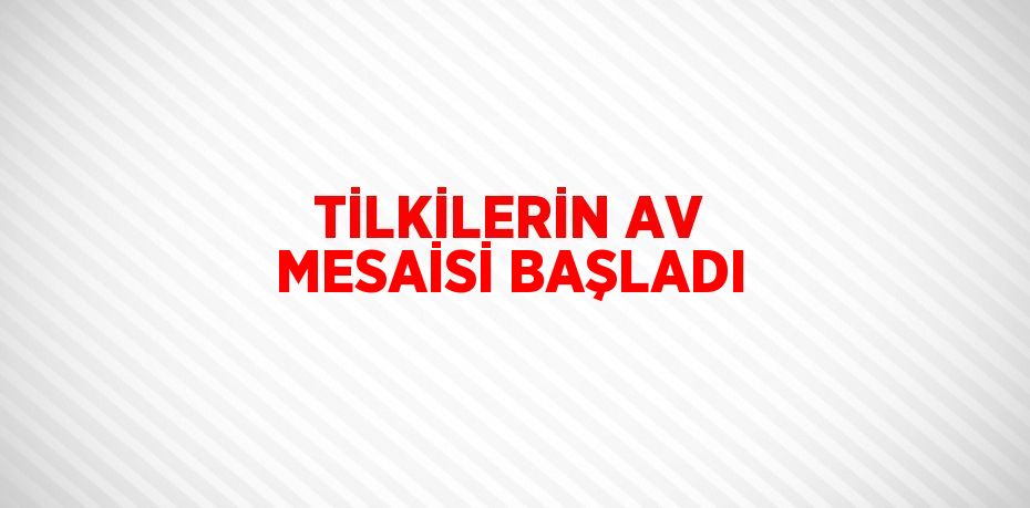 TİLKİLERİN AV MESAİSİ BAŞLADI