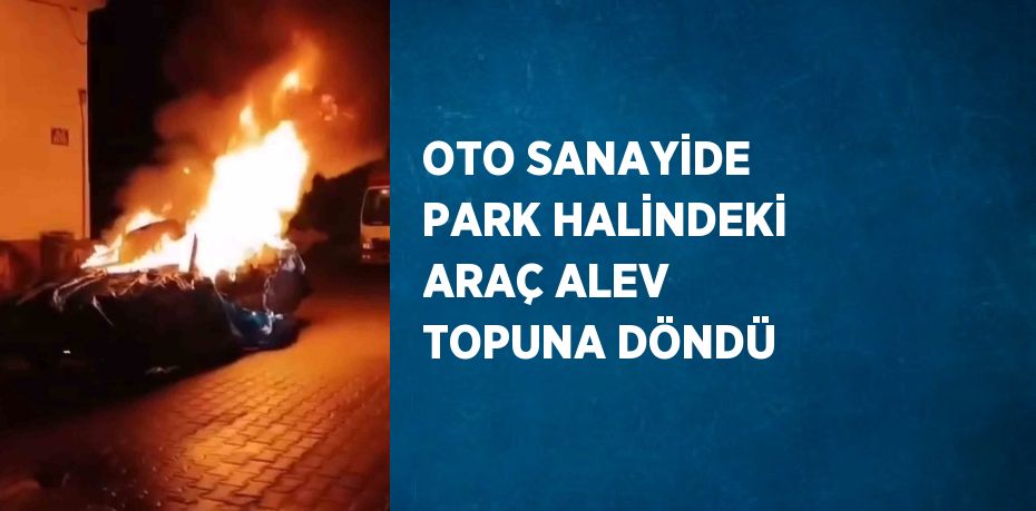 OTO SANAYİDE PARK HALİNDEKİ ARAÇ ALEV TOPUNA DÖNDÜ