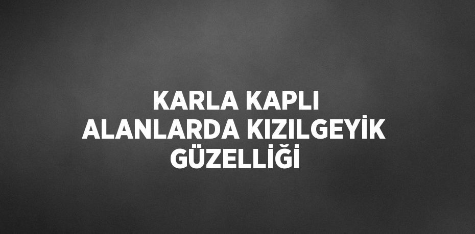 KARLA KAPLI ALANLARDA KIZILGEYİK GÜZELLİĞİ