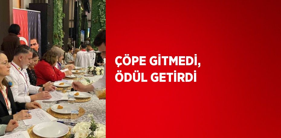ÇÖPE GİTMEDİ, ÖDÜL GETİRDİ