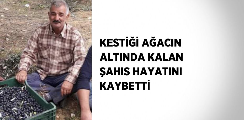 KESTİĞİ AĞACIN ALTINDA KALAN ŞAHIS HAYATINI KAYBETTİ