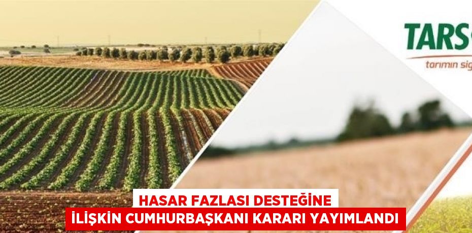 HASAR FAZLASI DESTEĞİNE İLİŞKİN CUMHURBAŞKANI KARARI YAYIMLANDI