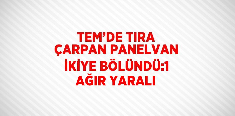 TEM’DE TIRA ÇARPAN PANELVAN İKİYE BÖLÜNDÜ:1 AĞIR YARALI