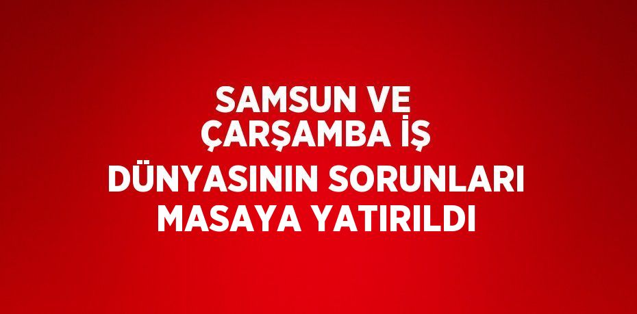 SAMSUN VE ÇARŞAMBA İŞ DÜNYASININ SORUNLARI MASAYA YATIRILDI