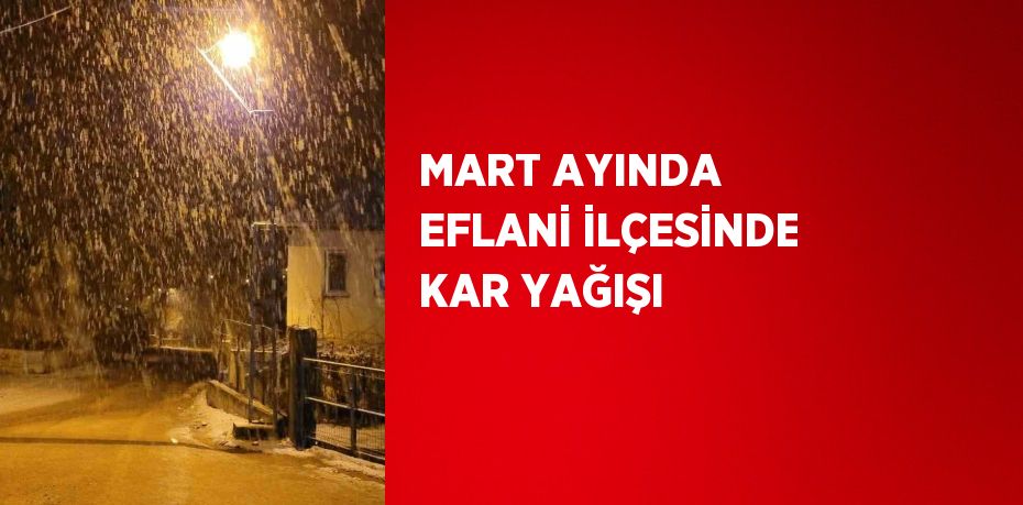 MART AYINDA EFLANİ İLÇESİNDE KAR YAĞIŞI