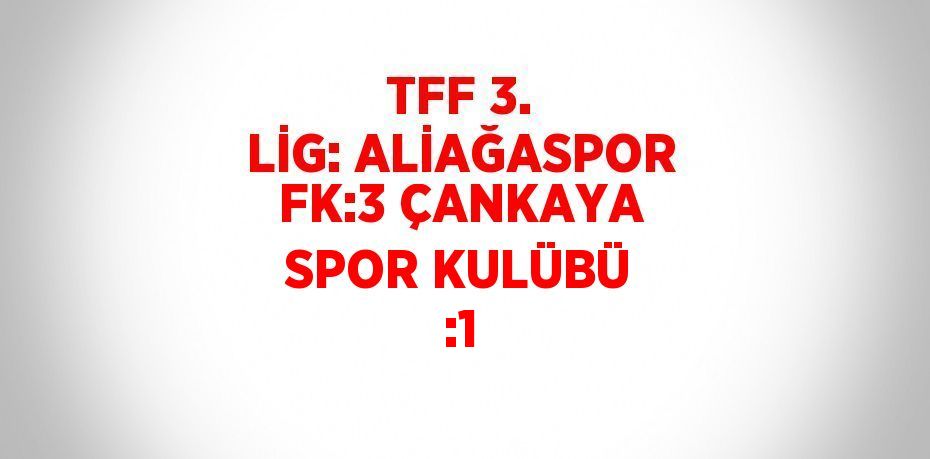 TFF 3. LİG: ALİAĞASPOR FK:3 ÇANKAYA SPOR KULÜBÜ :1