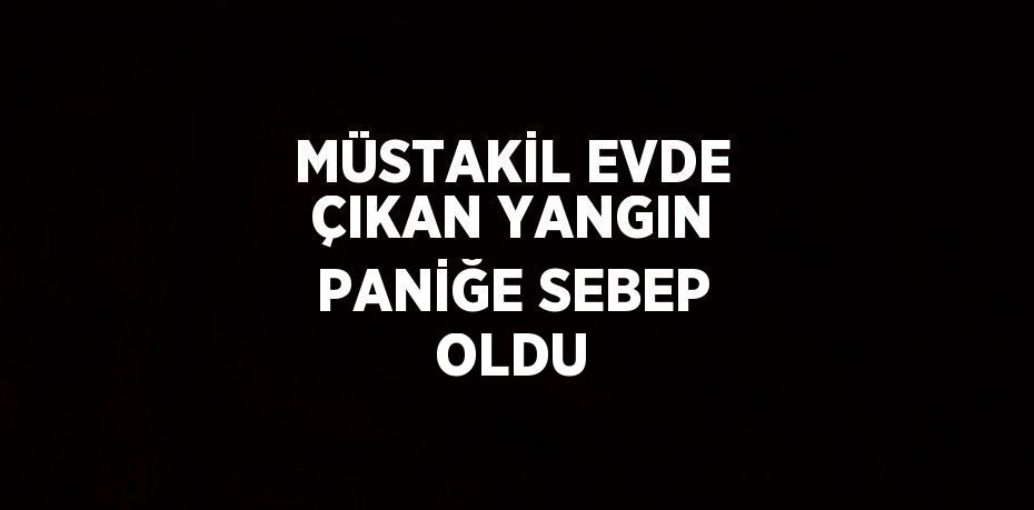 MÜSTAKİL EVDE ÇIKAN YANGIN PANİĞE SEBEP OLDU