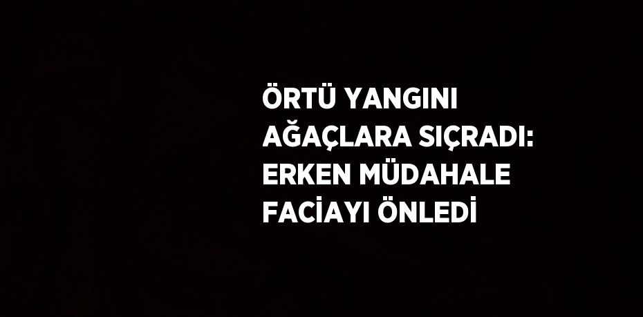 ÖRTÜ YANGINI AĞAÇLARA SIÇRADI: ERKEN MÜDAHALE FACİAYI ÖNLEDİ