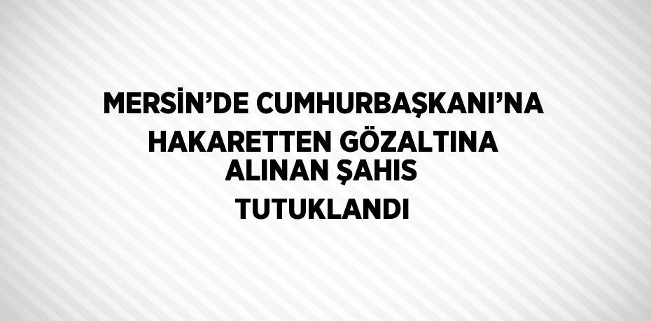 MERSİN’DE CUMHURBAŞKANI’NA HAKARETTEN GÖZALTINA ALINAN ŞAHIS TUTUKLANDI