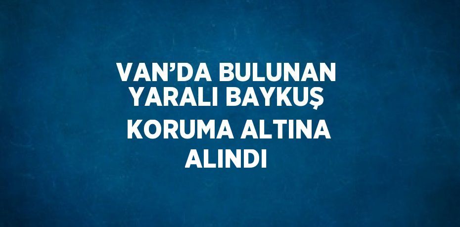 VAN’DA BULUNAN YARALI BAYKUŞ KORUMA ALTINA ALINDI