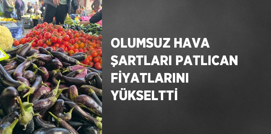 OLUMSUZ HAVA ŞARTLARI PATLICAN FİYATLARINI YÜKSELTTİ