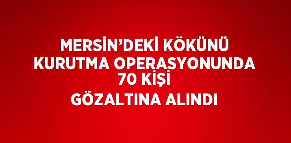 MERSİN’DEKİ KÖKÜNÜ KURUTMA OPERASYONUNDA 70 KİŞİ GÖZALTINA ALINDI