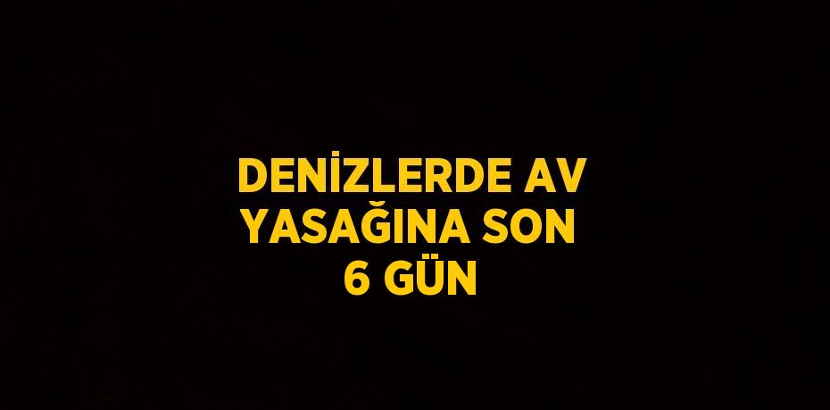 DENİZLERDE AV YASAĞINA SON 6 GÜN