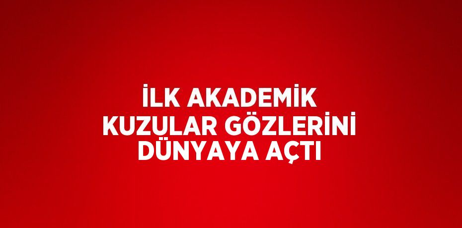 İLK AKADEMİK KUZULAR GÖZLERİNİ DÜNYAYA AÇTI