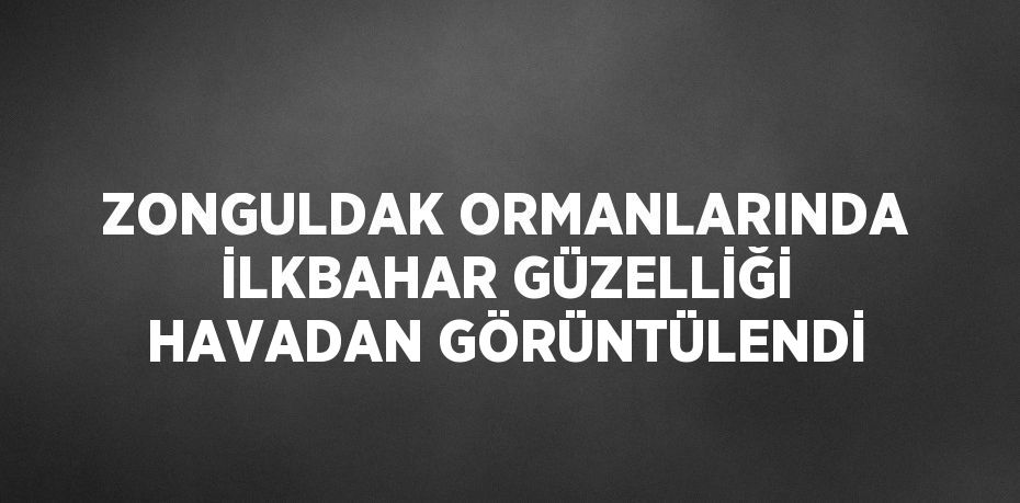 ZONGULDAK ORMANLARINDA İLKBAHAR GÜZELLİĞİ HAVADAN GÖRÜNTÜLENDİ