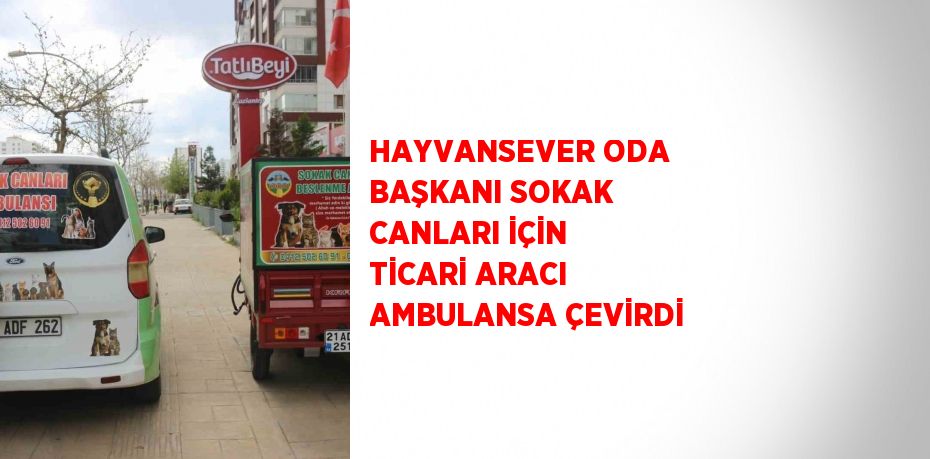 HAYVANSEVER ODA BAŞKANI SOKAK CANLARI İÇİN TİCARİ ARACI AMBULANSA ÇEVİRDİ