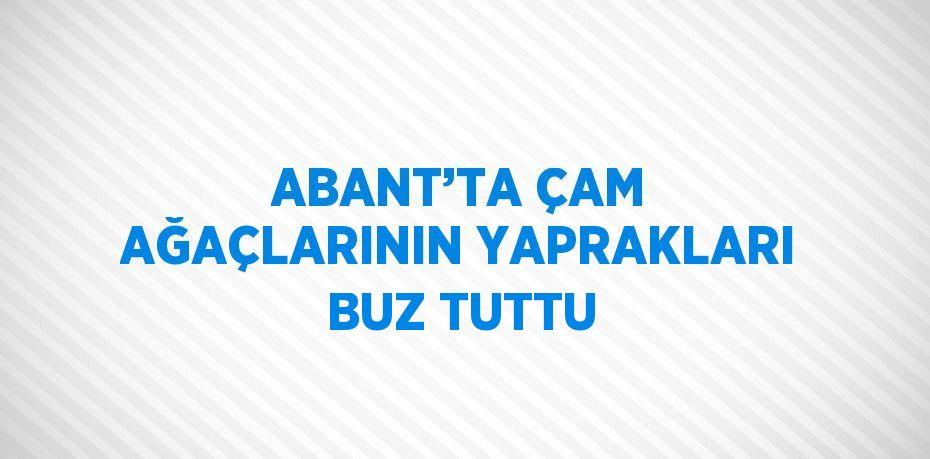 ABANT’TA ÇAM AĞAÇLARININ YAPRAKLARI BUZ TUTTU