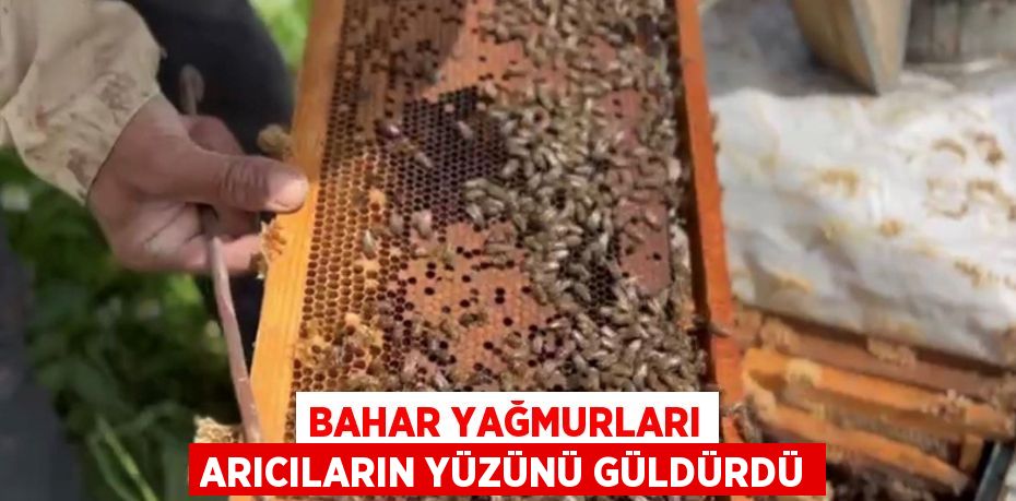 BAHAR YAĞMURLARI ARICILARIN YÜZÜNÜ GÜLDÜRDÜ