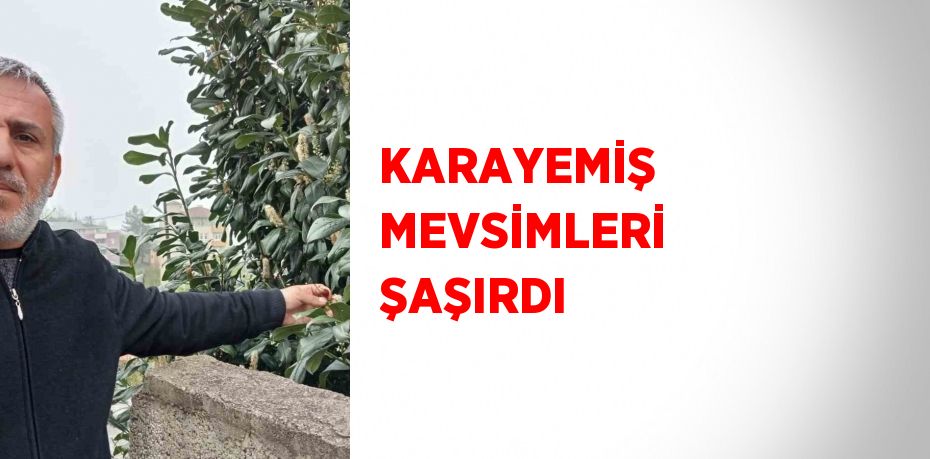 KARAYEMİŞ MEVSİMLERİ ŞAŞIRDI