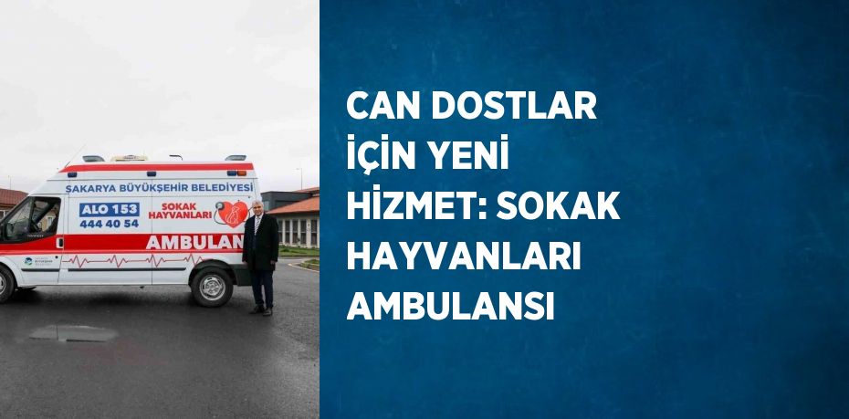 CAN DOSTLAR İÇİN YENİ HİZMET: SOKAK HAYVANLARI AMBULANSI