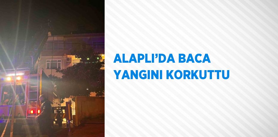 ALAPLI’DA BACA YANGINI KORKUTTU