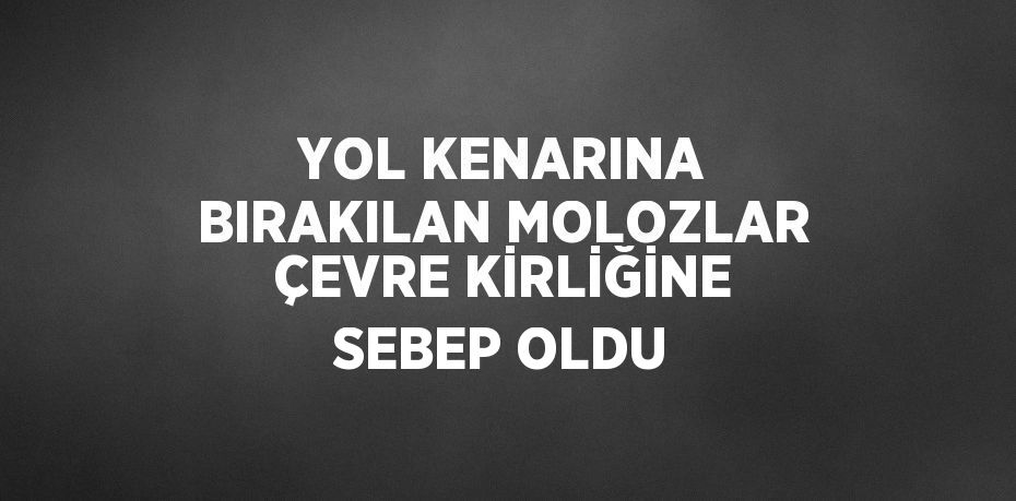 YOL KENARINA BIRAKILAN MOLOZLAR ÇEVRE KİRLİĞİNE SEBEP OLDU