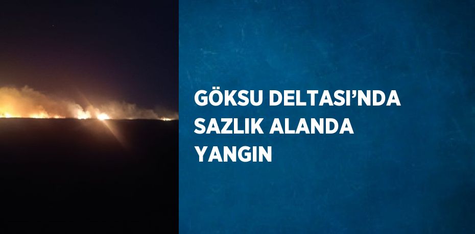 GÖKSU DELTASI’NDA SAZLIK ALANDA YANGIN