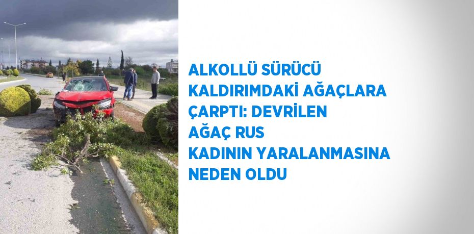 ALKOLLÜ SÜRÜCÜ KALDIRIMDAKİ AĞAÇLARA ÇARPTI: DEVRİLEN AĞAÇ RUS KADININ YARALANMASINA NEDEN OLDU
