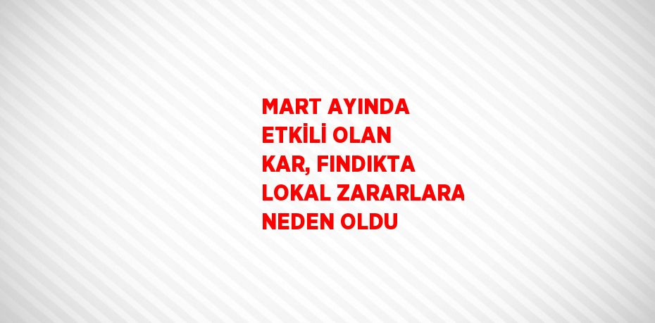 MART AYINDA ETKİLİ OLAN KAR, FINDIKTA LOKAL ZARARLARA NEDEN OLDU