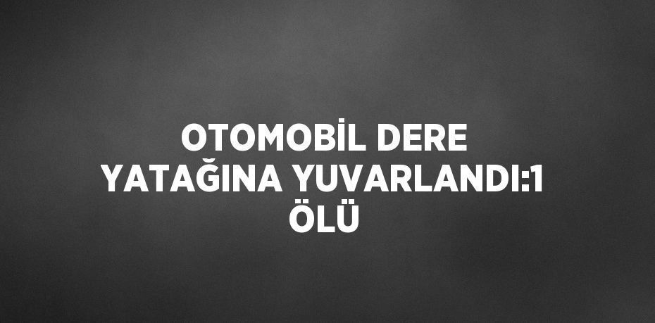 OTOMOBİL DERE YATAĞINA YUVARLANDI:1 ÖLÜ