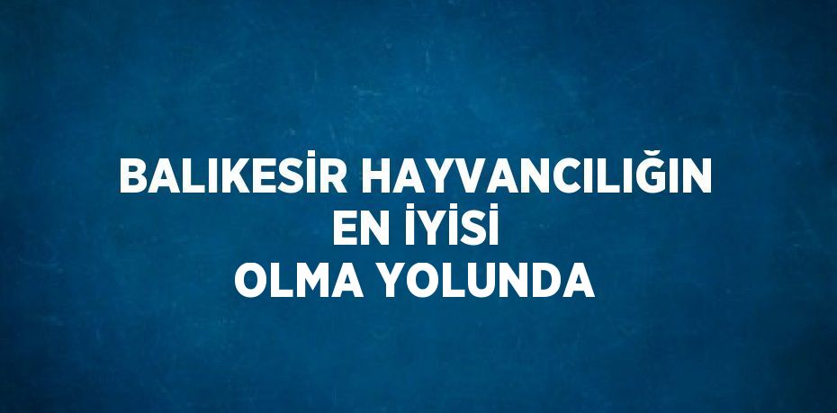 BALIKESİR HAYVANCILIĞIN EN İYİSİ OLMA YOLUNDA