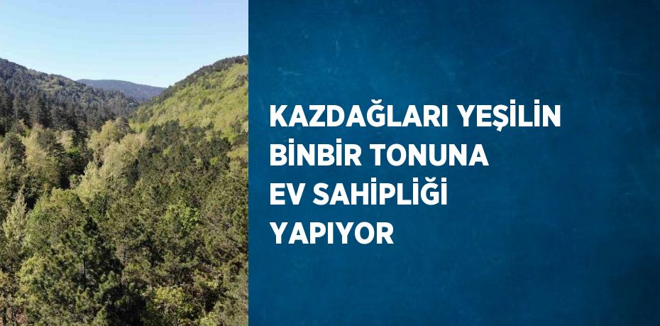 KAZDAĞLARI YEŞİLİN BİNBİR TONUNA EV SAHİPLİĞİ YAPIYOR