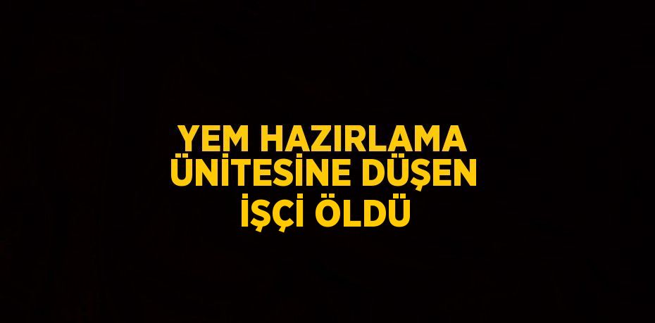 YEM HAZIRLAMA ÜNİTESİNE DÜŞEN İŞÇİ ÖLDÜ