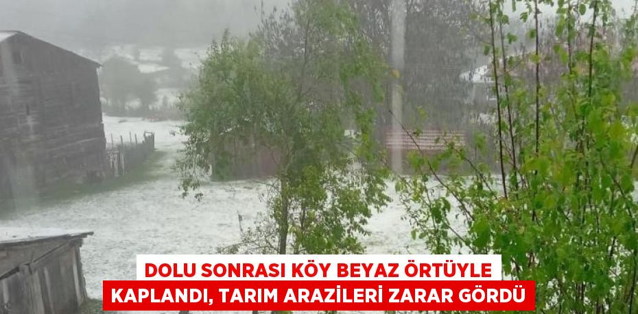 DOLU SONRASI KÖY BEYAZ ÖRTÜYLE KAPLANDI, TARIM ARAZİLERİ ZARAR GÖRDÜ