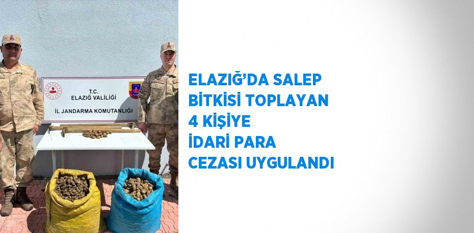 ELAZIĞ’DA SALEP BİTKİSİ TOPLAYAN 4 KİŞİYE İDARİ PARA CEZASI UYGULANDI