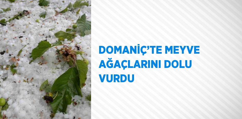 DOMANİÇ’TE MEYVE AĞAÇLARINI DOLU VURDU