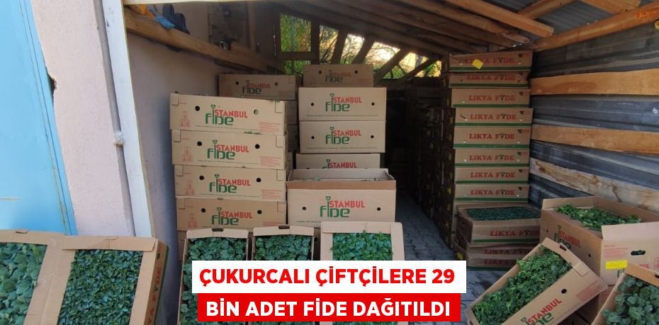 ÇUKURCALI ÇİFTÇİLERE 29 BİN ADET FİDE DAĞITILDI