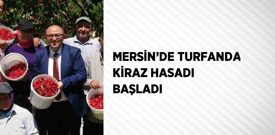 MERSİN’DE TURFANDA KİRAZ HASADI BAŞLADI