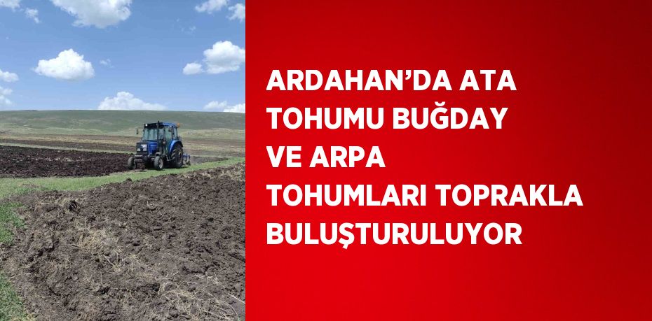 ARDAHAN’DA ATA TOHUMU BUĞDAY VE ARPA TOHUMLARI TOPRAKLA BULUŞTURULUYOR