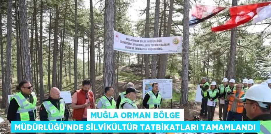MUĞLA ORMAN BÖLGE MÜDÜRLÜĞÜ’NDE SİLVİKÜLTÜR TATBİKATLARI TAMAMLANDI