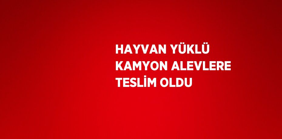 HAYVAN YÜKLÜ KAMYON ALEVLERE TESLİM OLDU