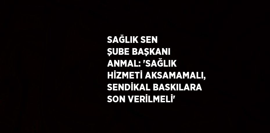 SAĞLIK SEN ŞUBE BAŞKANI ANMAL: 'SAĞLIK HİZMETİ AKSAMAMALI, SENDİKAL BASKILARA SON VERİLMELİ'
