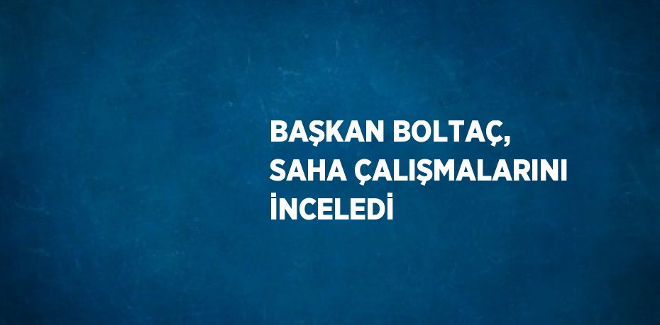 BAŞKAN BOLTAÇ, SAHA ÇALIŞMALARINI İNCELEDİ