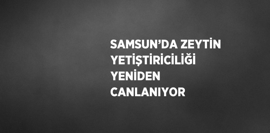 SAMSUN’DA ZEYTİN YETİŞTİRİCİLİĞİ YENİDEN CANLANIYOR