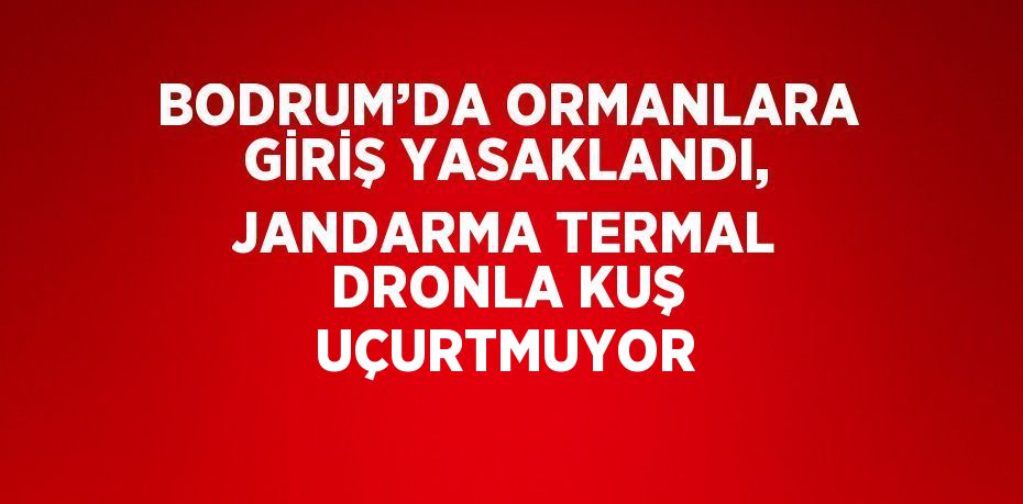 BODRUM’DA ORMANLARA GİRİŞ YASAKLANDI, JANDARMA TERMAL DRONLA KUŞ UÇURTMUYOR